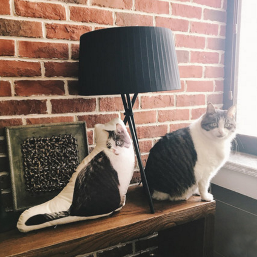 Custom Pet Shaped Pillows