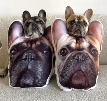 Custom Pet Shaped Pillows