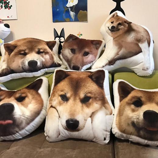 Custom Pet Shaped Pillows