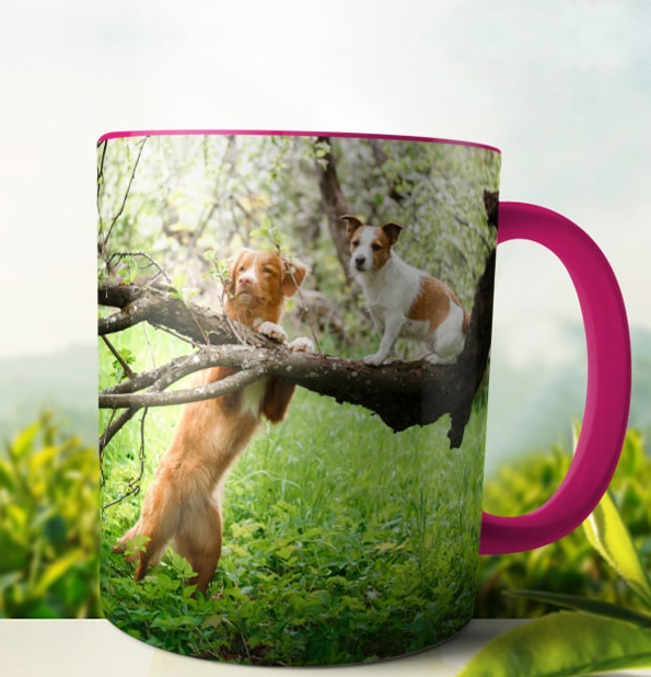 Customized  mugs with photos